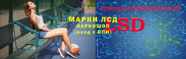 стаф Кулебаки
