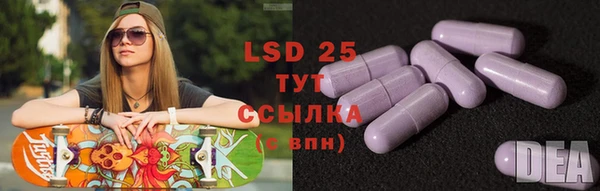 стаф Кулебаки