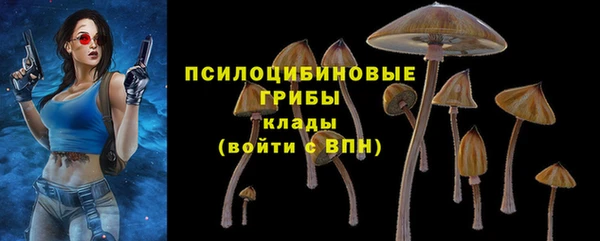 стаф Кулебаки