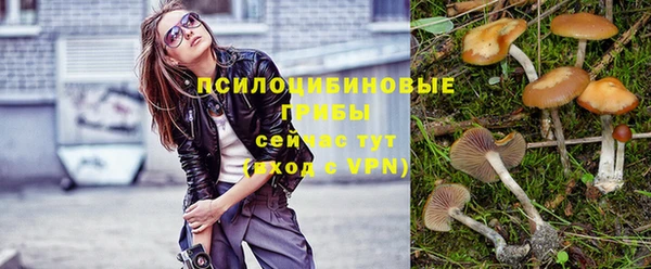 спиды Куйбышев