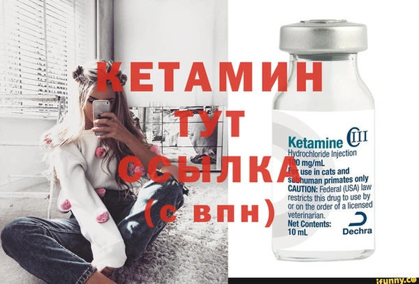 стаф Кулебаки