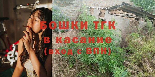 стаф Кулебаки