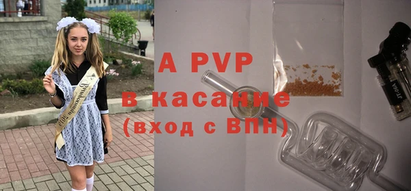стаф Кулебаки