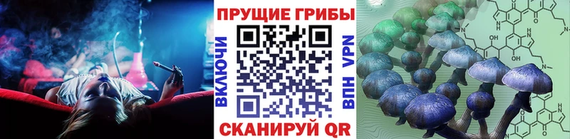 Псилоцибиновые грибы GOLDEN TEACHER  Купить  Семёнов 